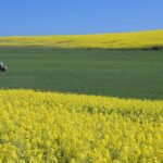 Agroterroryzm definicja