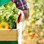 Rolnictwo regeneratywne