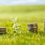 Greenwashing - co to jest?