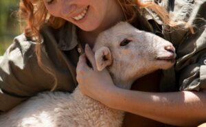 Dzień Praw Zwierząt