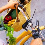 Ekologiczne nawyki na co dzień