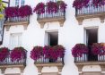 Rośliny na każdy balkon
