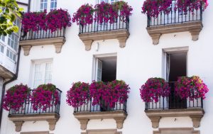 Rośliny na każdy balkon