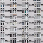 Patodeweloperka – przykłady i konsekwencje