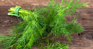 Nasiona kopru ogrodowego – jak uprawiać, jakie mają właściwości i dlaczego warto mieć je w ogrodzie?