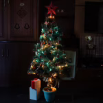 Choinka bez pośpiechu - jak wybrać drzewko, które wprowadzi świąteczny klimat na wiele tygodni