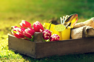 Jak przygotować ogród na wiosnę – 7 porad