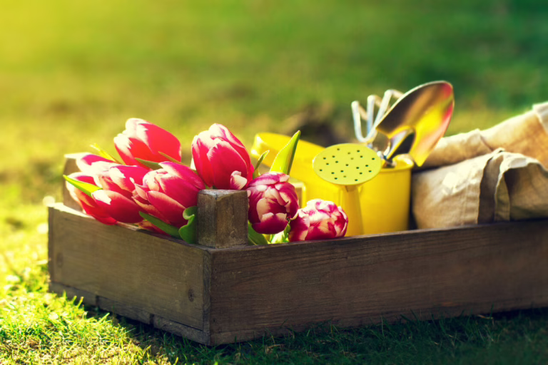 Jak przygotować ogród na wiosnę – 7 porad