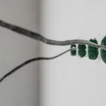 Jak sprawdzić czy instalacja elektryczna w domu jest bezpieczna?